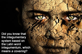 Cracked, Dry Skin